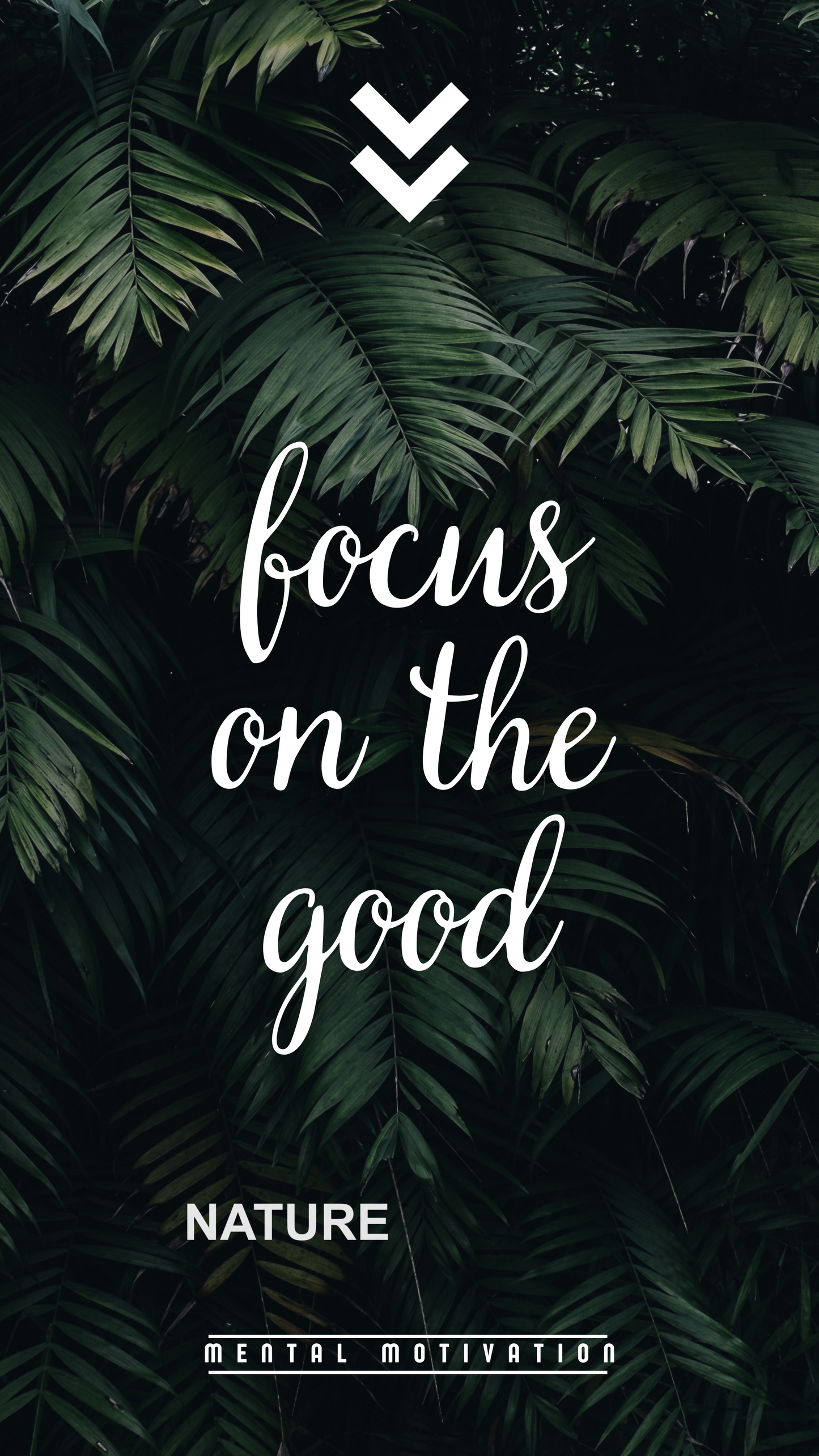 198 Quotes Wallpaper Bundle
