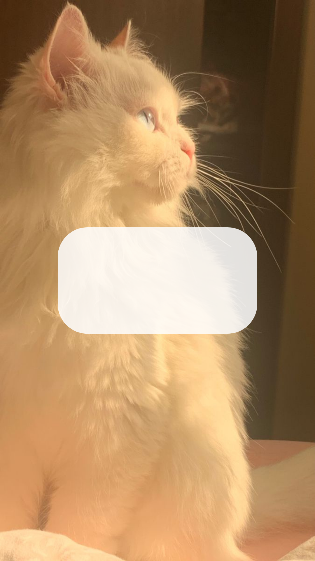 Wallpaper Templates