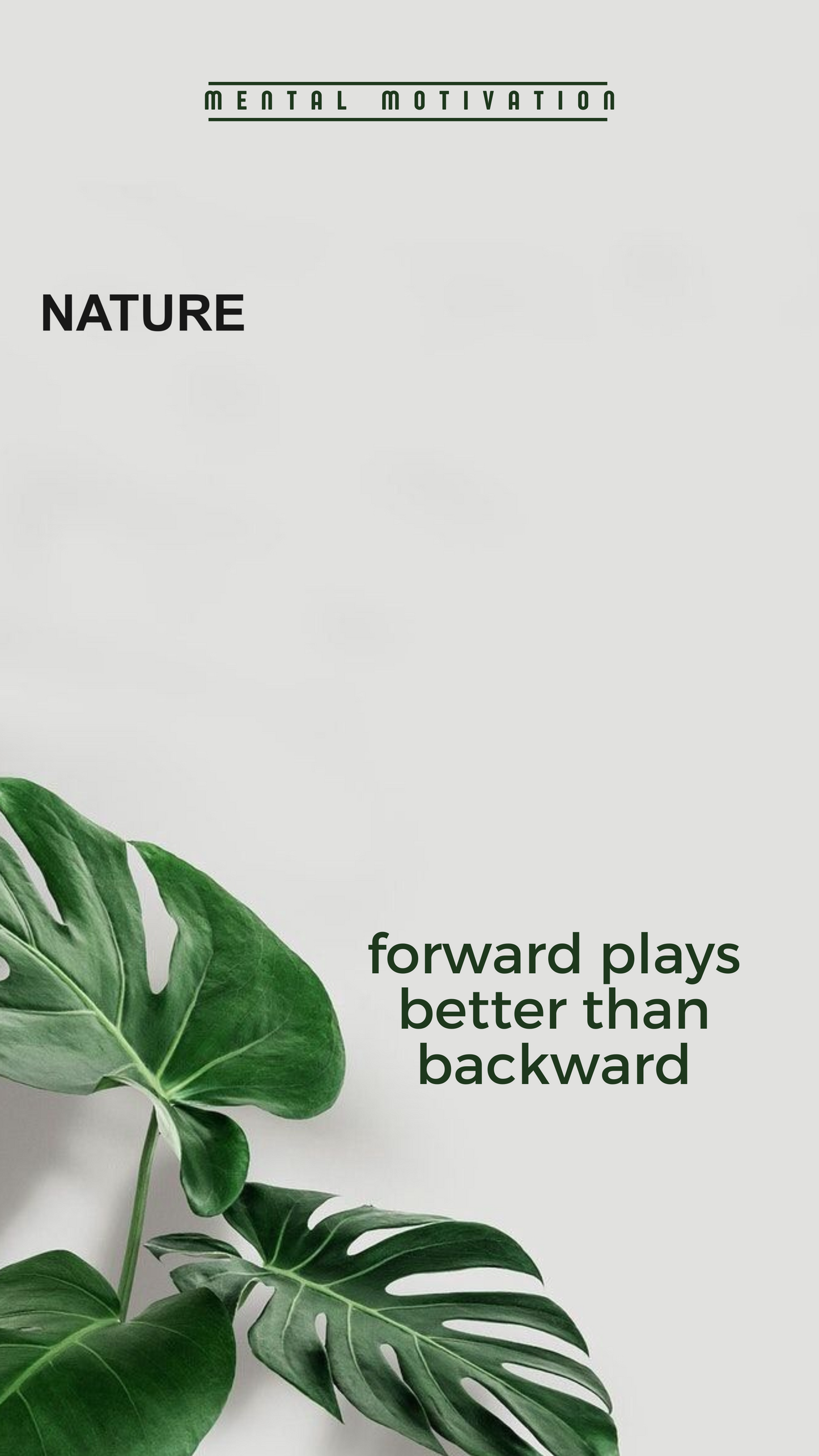 198 Quotes Wallpaper Bundle